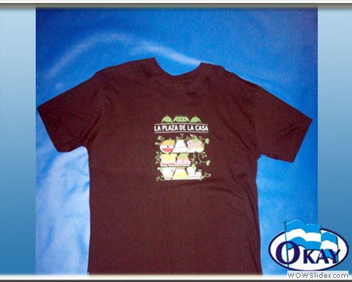 Okay_remeras1